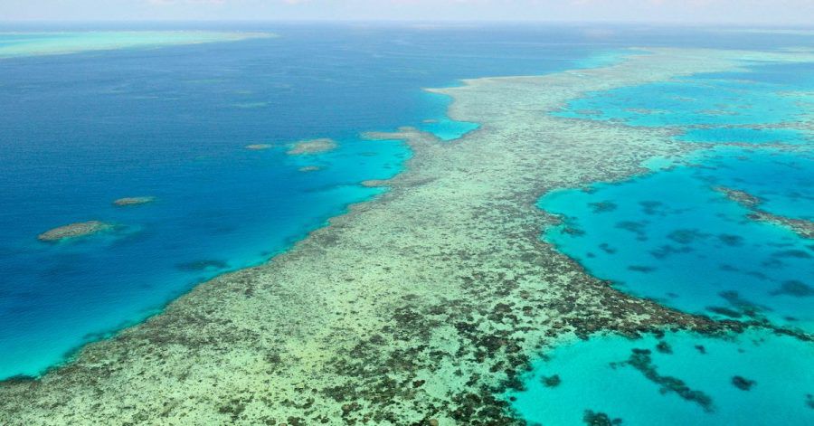 Das Great Barrier Reef in Australien ist bedroht.