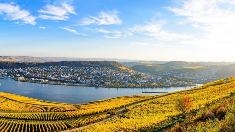 Das Niederwalddenkmal bietet eine traumhafte Aussicht auf den Rhein. (tae/spot)