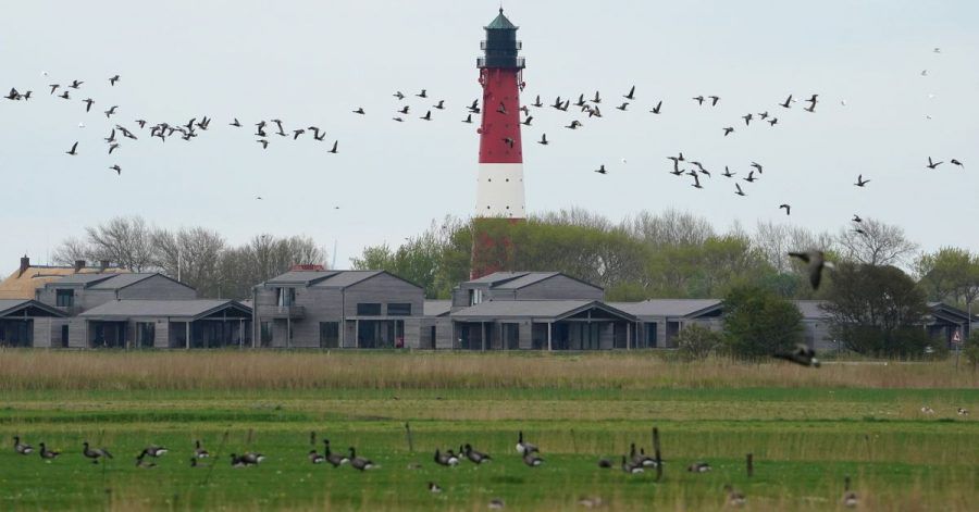 Ferienhäuser und Ferienwohnungen auf der Nordseeinsel Pellworm.