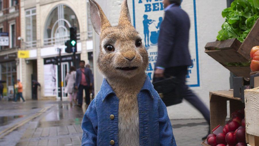 Peter Hase meldet sich für sein zweites Kinoabenteuer zurück. (ncz/spot)