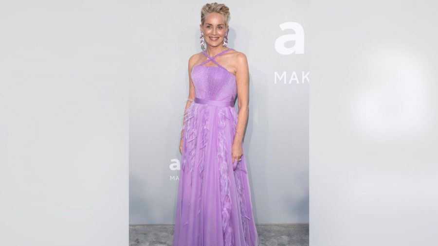 In dieser Robe begeistert Sharon Stone bei der amfAR-Gala. (nra/spot)