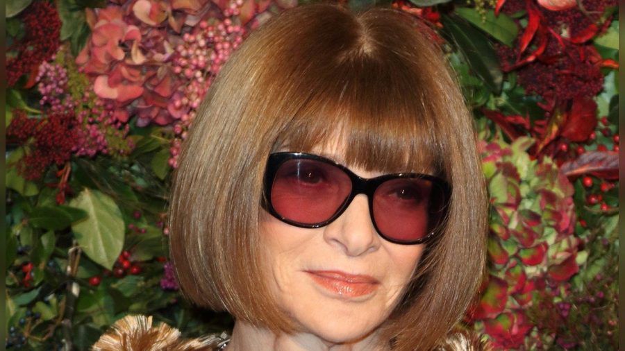 Anna Wintour hat bereits zwei Enkelkinder. (nra/spot)