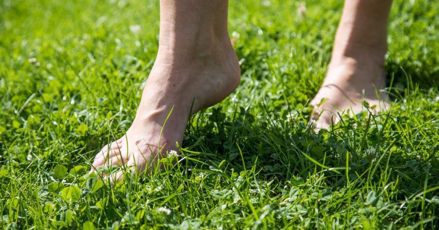 Gras ist ein perfekter Untergrund für die ersten Barfuß-Gehversuche.