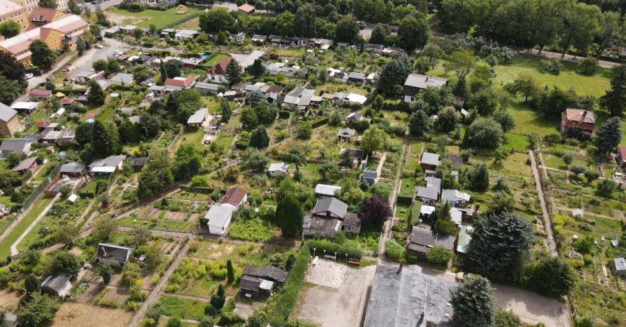 Viele verwilderte ehemalige Kleingärten sind in der Gartenanlage «Einheit» zu sehen.