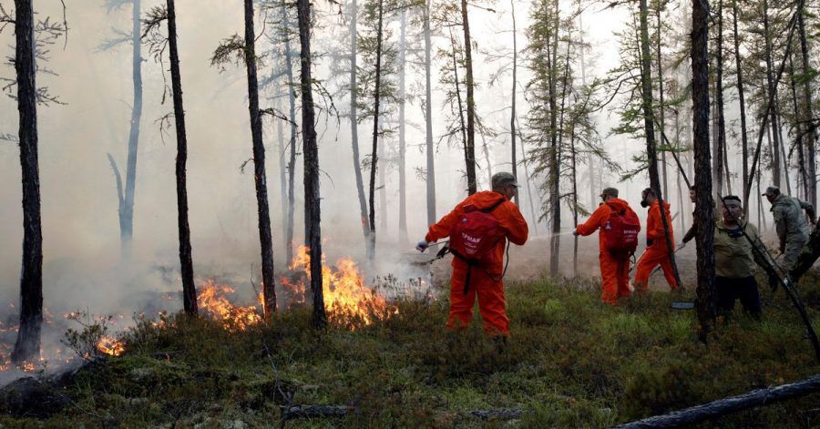 Mittlerweile sind mehr als 9000 Helfer im Kampf gegen die Flammen im Einsatz.