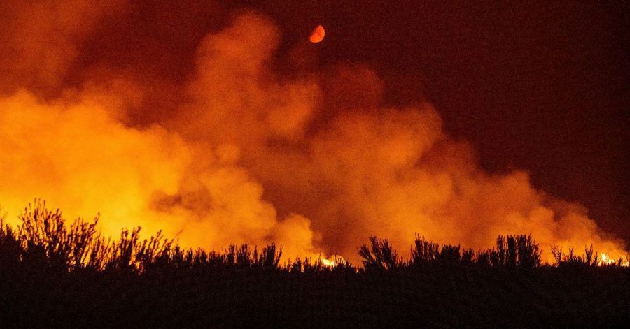 Durch die kritische Wetterlage in der Region haben sich mehrere Waldbrände in Nordkalifornien ausgebreitet.