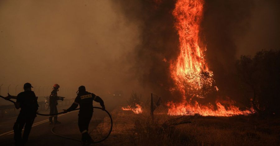 Feuerwehrleute versuchen einen Waldbrande zu löschen. Griechenland wird weiterhin von einer Dauerhitzewelle und Trockenheit heimgesucht, weshalb zahlreiche Waldbrände ausgebrochen sind.