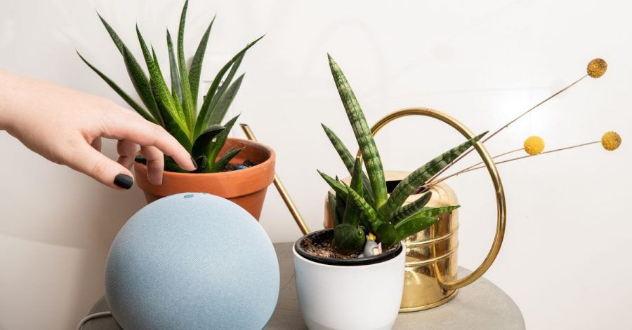 Amazons Echo-Smartspeaker kann auf Befehl Musik abspielen.