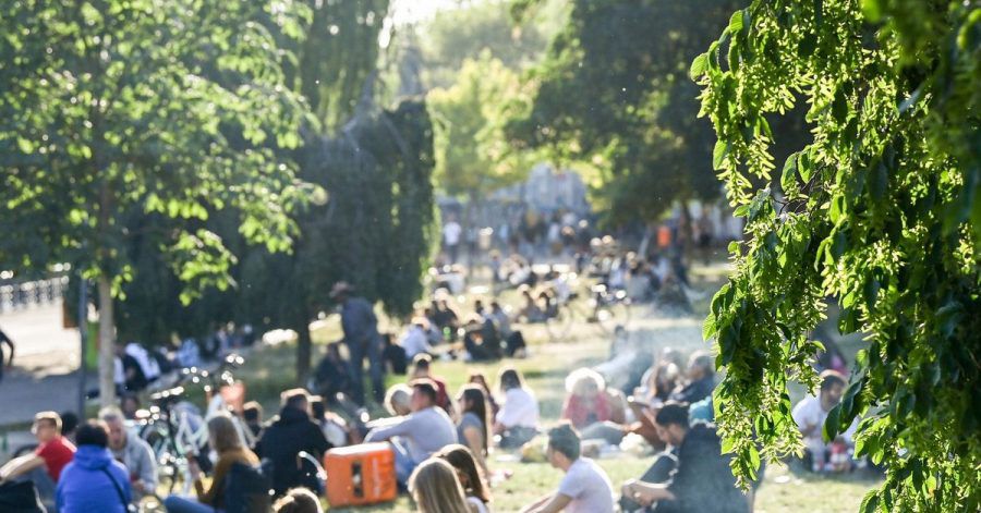 Zahlreiche Menschen sitzen im Licht der untergehenden Sonne auf einer Wiese im James-Simon-Park. Abends und nachts soll der Besuch künftig nicht mehr erlaubt sein.