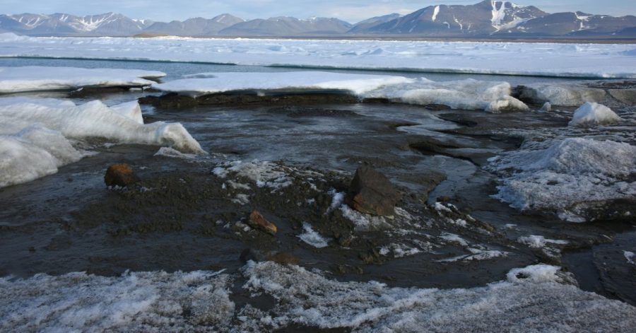 Das kleine noch unbenannte Eiland am nördlichsten Zipfel Grönlands ist möglicherweise die wohl nördlichste Insel der Welt - entdeckt wurde sie von Forschern der Universität Kopenhagen.
