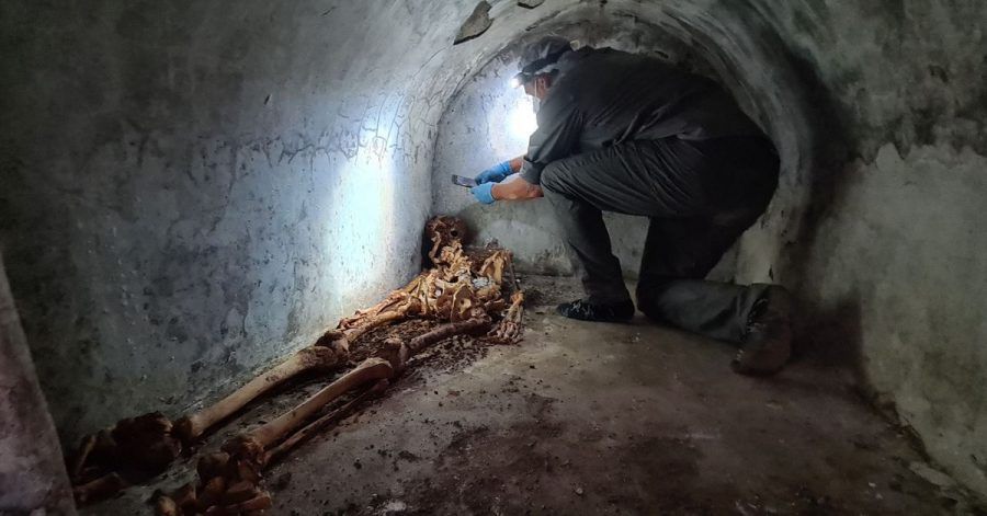 Ein Archäologe untersucht in der versunkenen Stadt Pompeji die mumifizierten Überreste von Marcus Venerius Secundio, einem früheren Sklaven, der nach seiner Freilassung zu Reichtum und damit zu gesellschaftlichem Rang gelangt war.