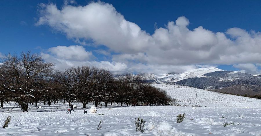 Eine geschlossene Schneedecke hat sich in der Nähe von Ceres am Westkap von Südafrika gebildet.