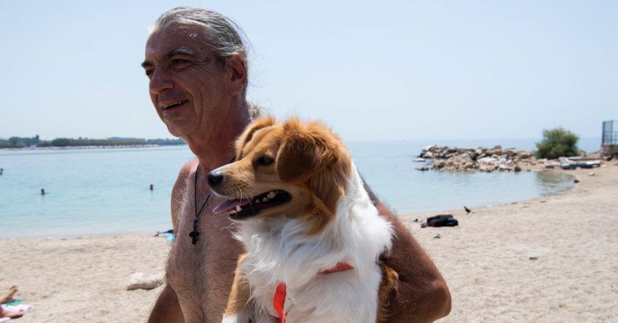 Am Strand in Athen: Menschen und Tiere leiden unter der Hitze: