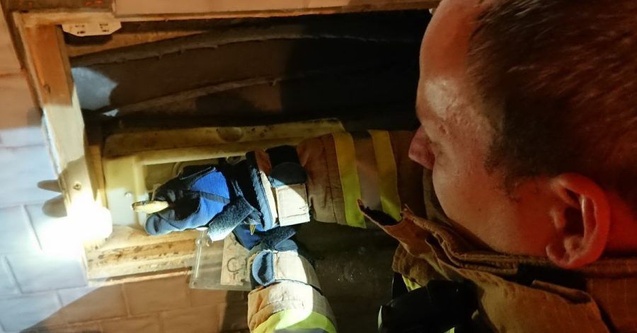 Ein Feuerwehrmann befreit eine ungiftige Äskulapnatter aus einem WC-Spülkasten.