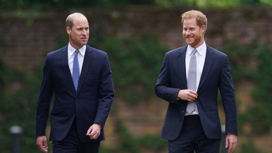 Prinz William und Prinz Harry im Juli bei einem gemeinsamen Auftritt in London. (hub/spot)