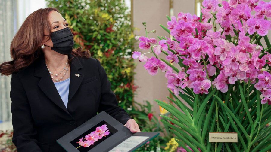 Kamala Harris steht neben einem Exemplar der nach ihr benannten Orchidee "Papilionanda Kamala Harris". (tae/spot)