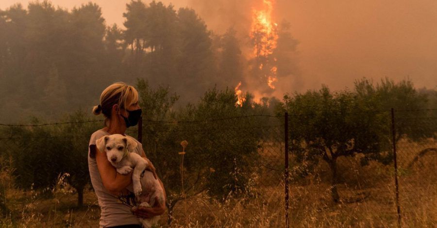Eine Frau hält ihren Hund, während ein Wald im Norden der Insel Euböa in Flammen steht. Die Waldbrände wüten in ganz Griechenland weiter. Vor allem auf der Insel Euböa, wo am Wochenende Tausende Menschen evakuiert wurden.