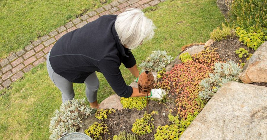 Da Steingärten oft alpine Pflanzen beheimaten, lassen sich damit zum Beispiel auch Hänge im Garten gut gestalten.