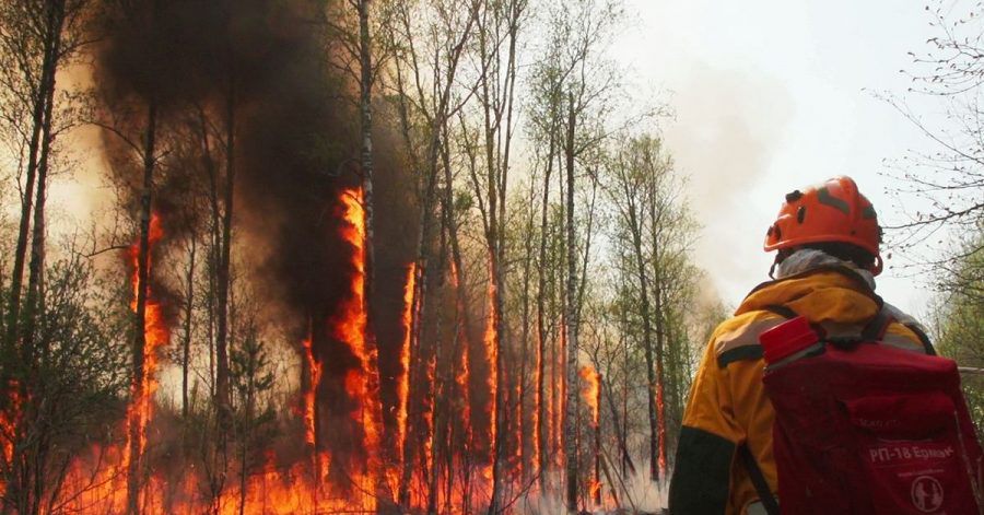 Kampf gegen einen Flächenbrand in Jakutien.