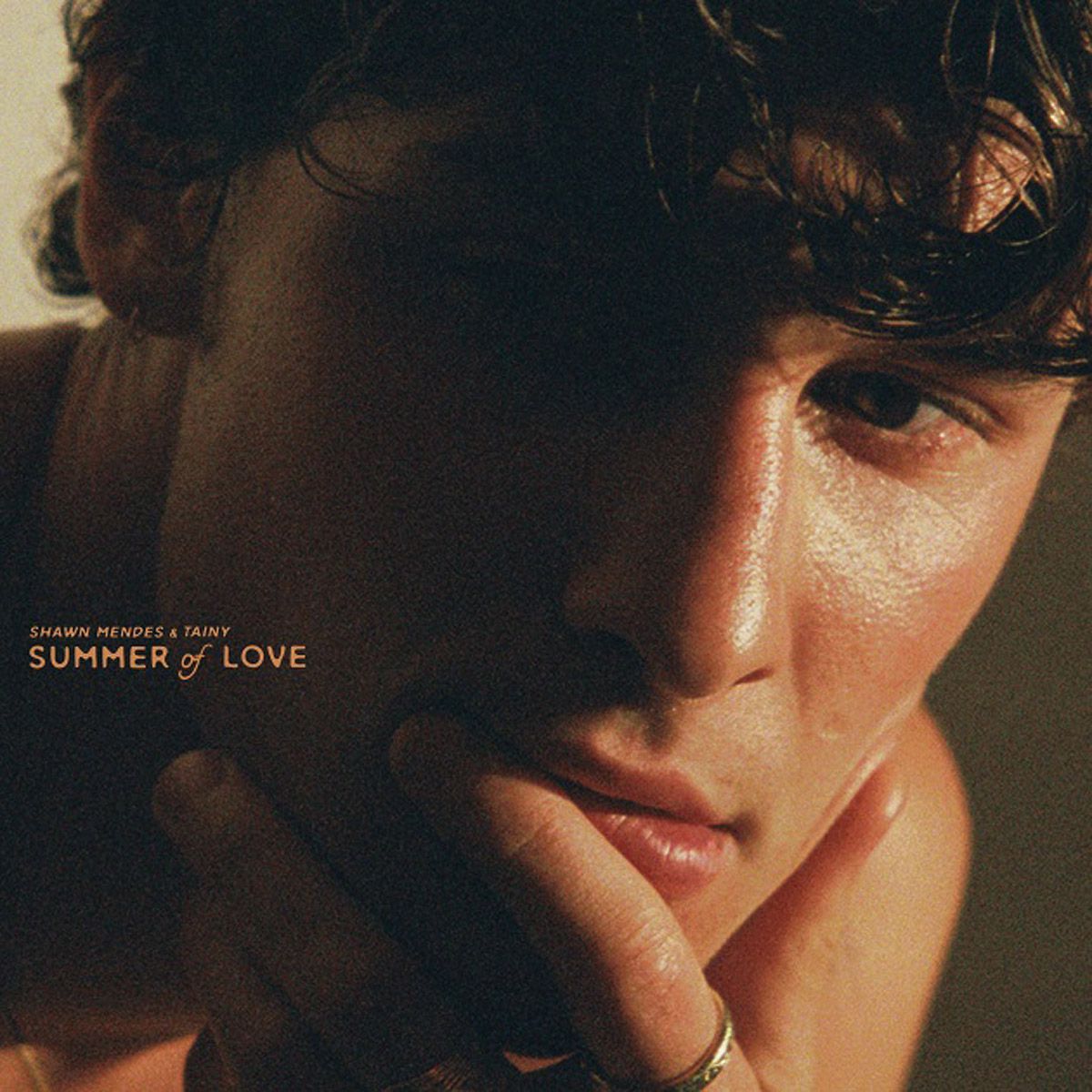 Megastar Shawn Mendes mit neuem Hit "Summer Of Love"
