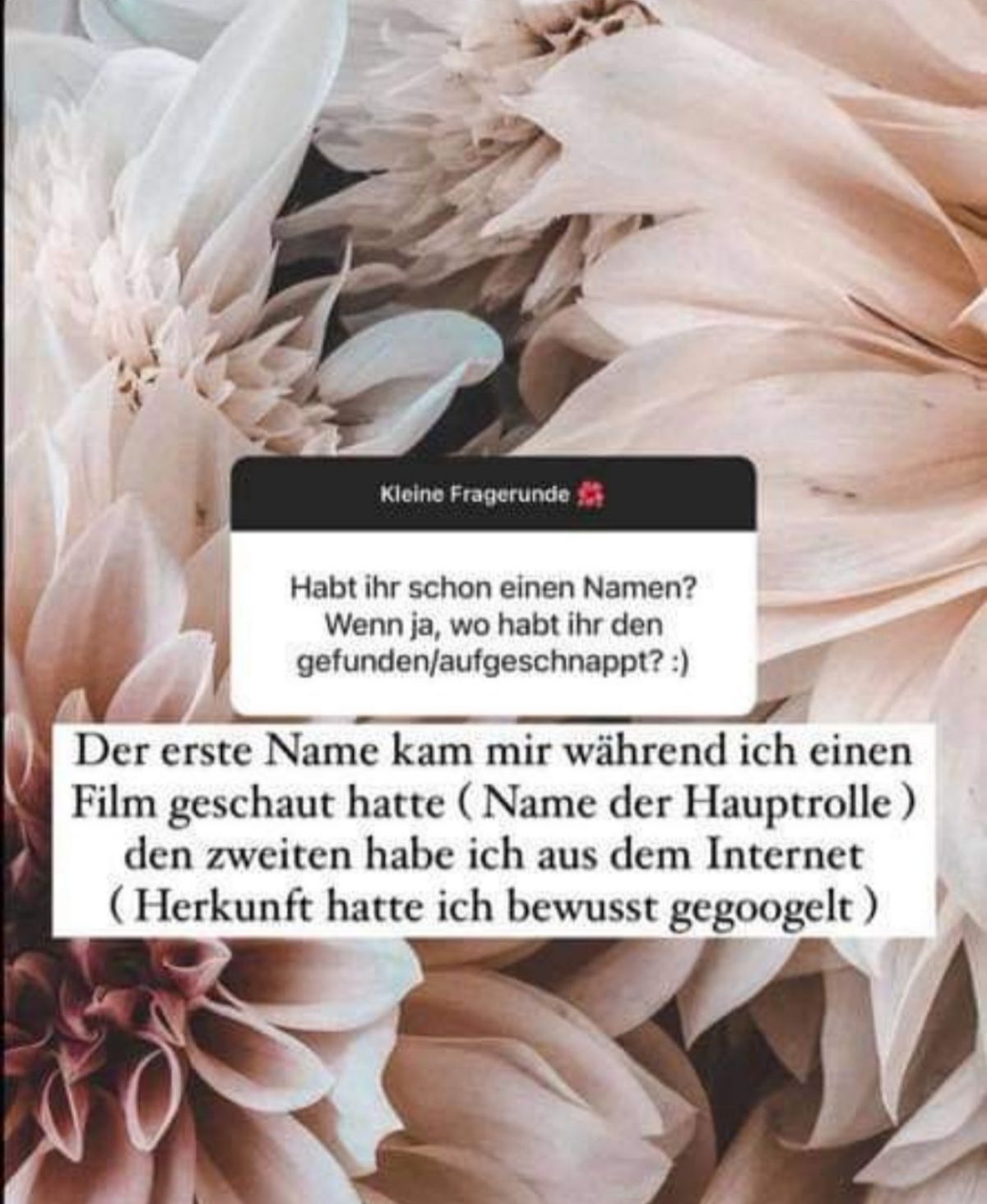 Yeliz Koc: Babyname steht fest " class="size-full wp-image-944995