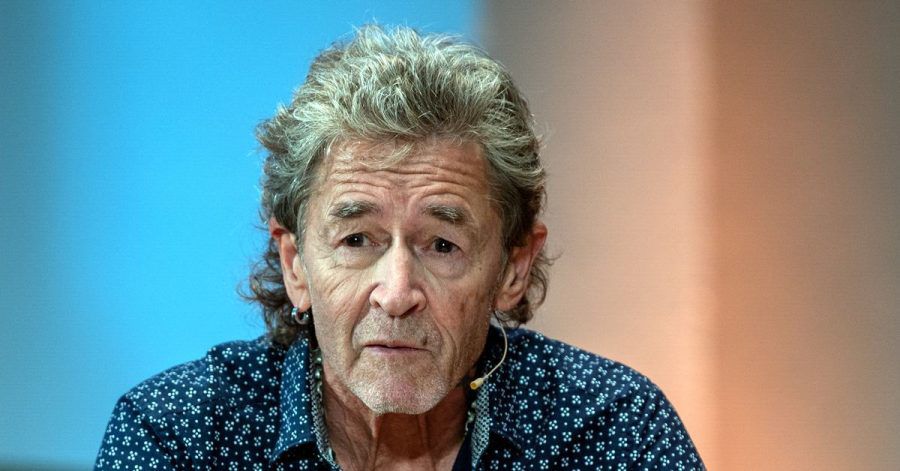 Der deutsche Sänger Peter Maffay.
