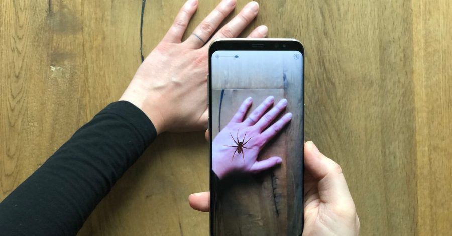 Virtuelle Realität: Diese Spinne lebt nur im Smartphone.