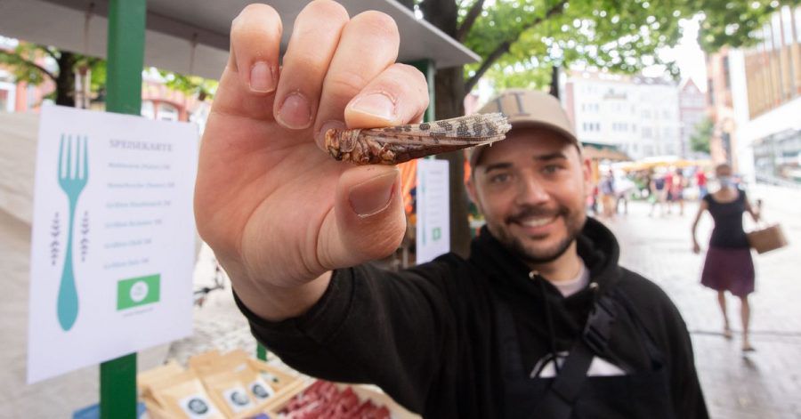 Michael Blautzik von Bugoo zeigt eine Heuschrecke auf dem Lindener Marktplatz. Der Start-up-Gründer will Menschen zur Umstellung ihres Speiseplans auf Insekten ermutigen.