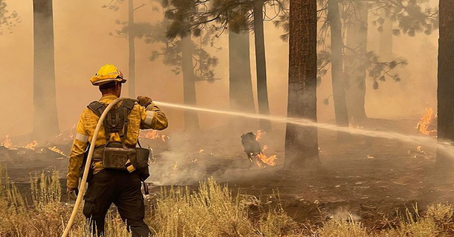 Ein Feuerwehrmann aus Los Angeles County benutzt einen Schlauch, um die Flammen des Caldor-Feuers zu löschen.