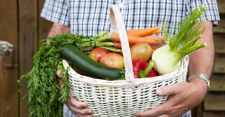 Sich Obst und Gemüse im Abo liefern zu lassen, ist eine bequeme Sache. Und man hat das Gefühl, die regionale Landwirtschaft zu stärken.