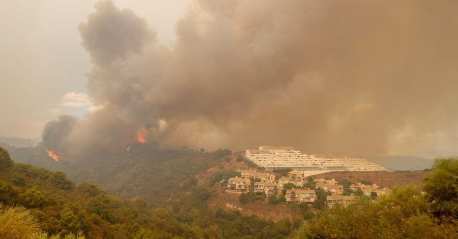 Bäume brennen in der Nähe von Estepona.