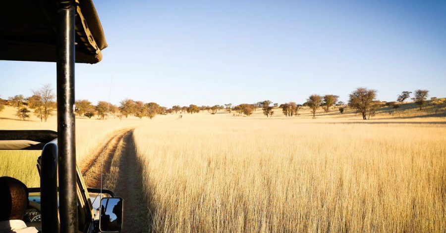 Unterwegs in der Kalahari: Auch gegen das Coronavirus geimpfte Namibia-Reisende müssen bei der Einreise einen negativen PCR-Test vorlegen können.