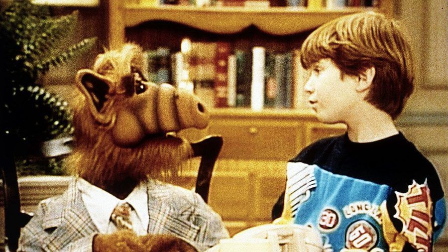 Alf wird 35: Flauschiger Anarchist mit Vorliebe für Katzen