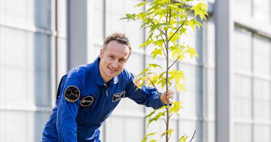 Matthias Maurer pflanzt in Köln einen Baum.