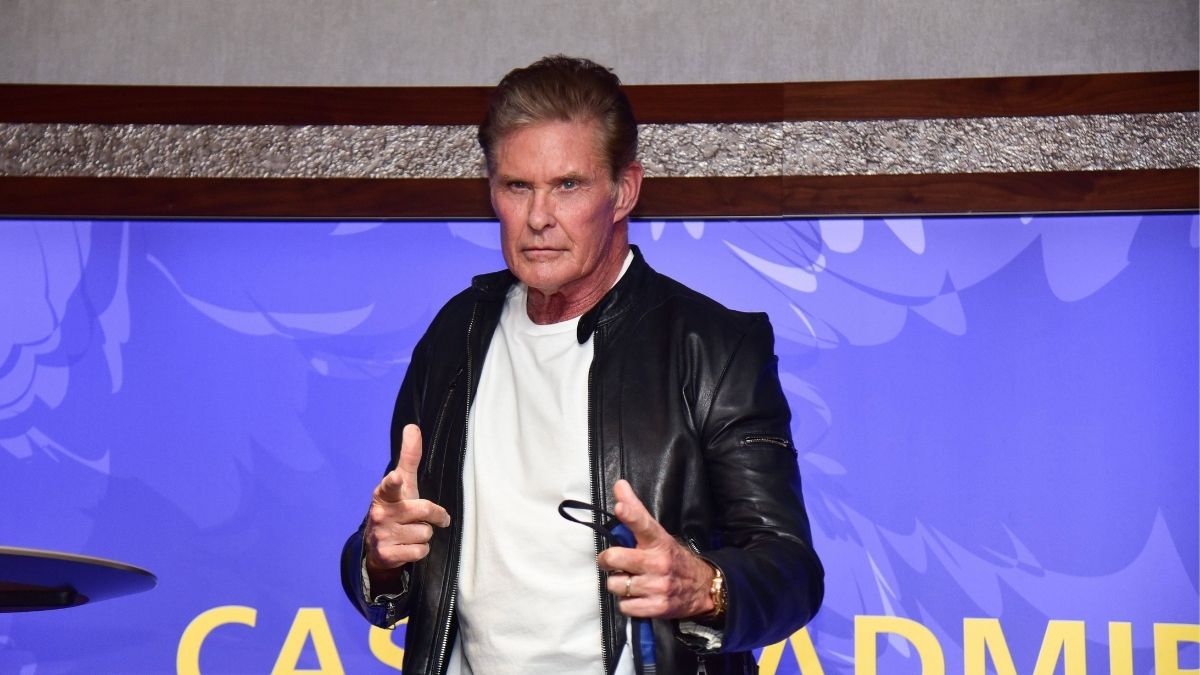 David Hasselhoff: „Ich gehe mit meiner Berühmtheit positiv um“" class="size-full wp-image-968239