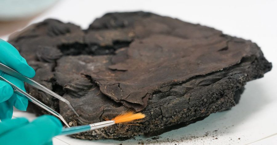 Eine Restauratorin reinigt mit Pinsel und Pinzette eine 79 Jahre alte Nusstorte in der Werkstatt der Lübecker Stadtarchäologie.