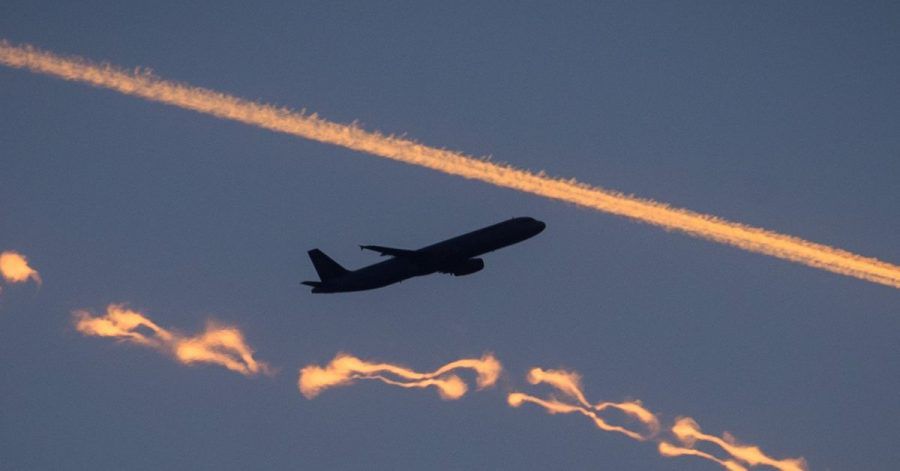 Laut Lufthansa-Vorstand Harry Hohmeister wird sich an der Billigpreispolitik vieler Airlines vorerst nichts ändern.