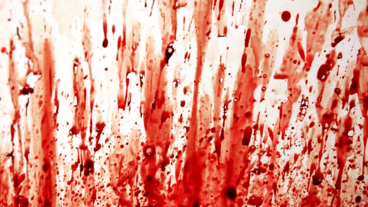 Schaudern, zittern, aufatmen, lernen: Faszination True Crime