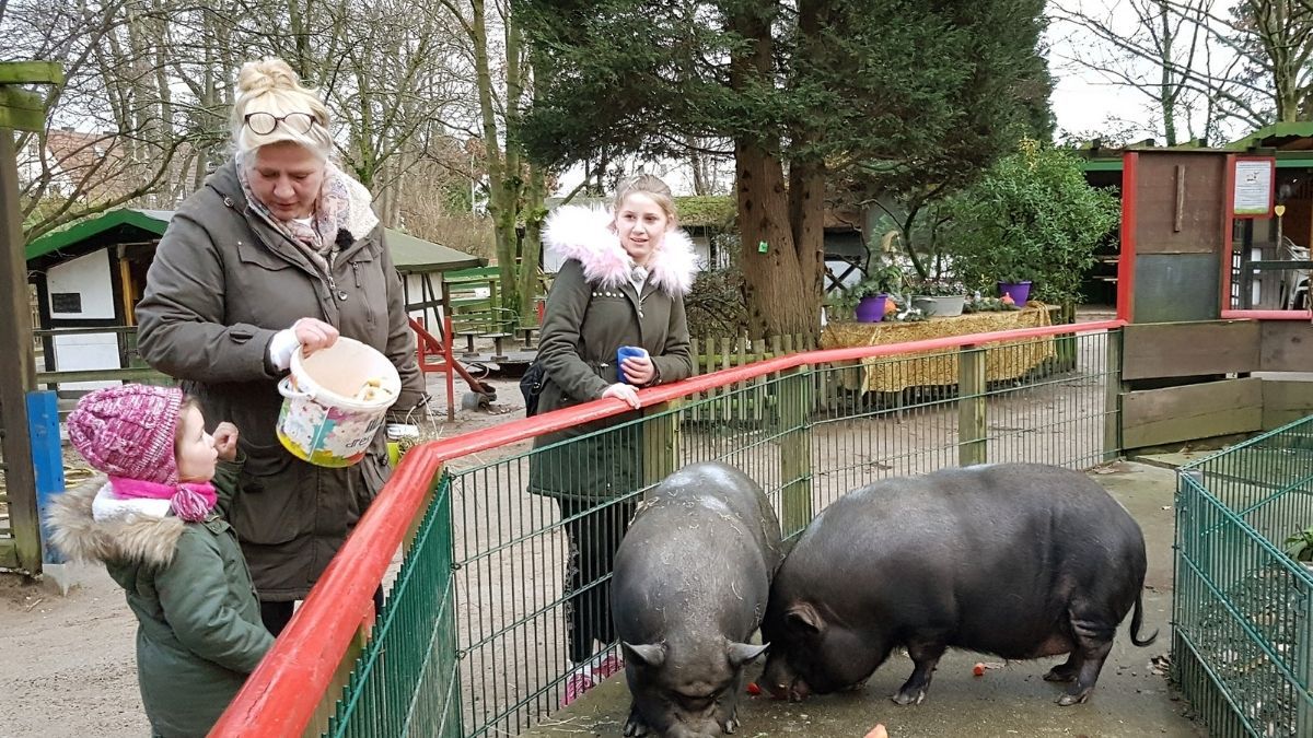 "Die Wollnys": So viel verdient die beliebte TV-Familie