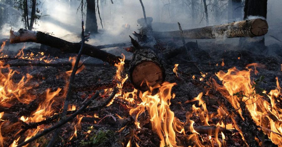 Waldbrand im August im Gebiet Gorny Ulus (Jakutien).