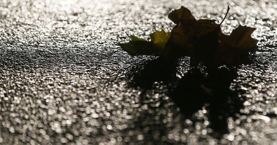 Rutschige Jahreszeit: Im Herbst müssen Autofahrer auf einigen Straßen mit überraschender Glätte rechnen.