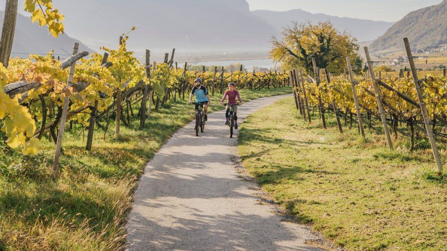 Radtour durch die Weinreben mit Blick auf den Kalterer See (abo/spot)