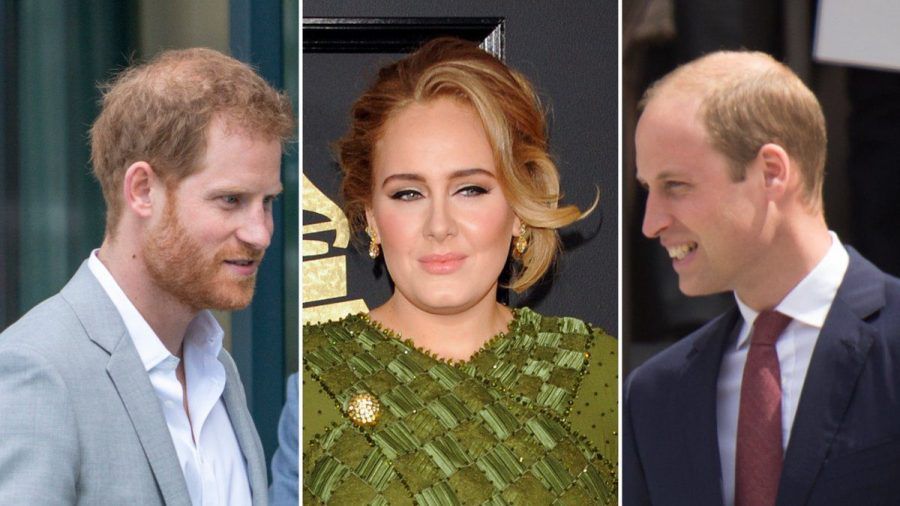 Entscheidet sich Adele für Prinz Harry (l.) oder Prinz William? (wue/spot)