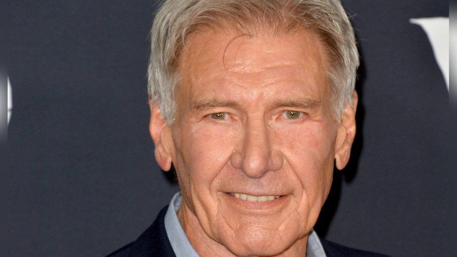 Harrison Ford hatte in Italien seine Kreditkarte verloren - und bekam sie zurück. (tae/spot)