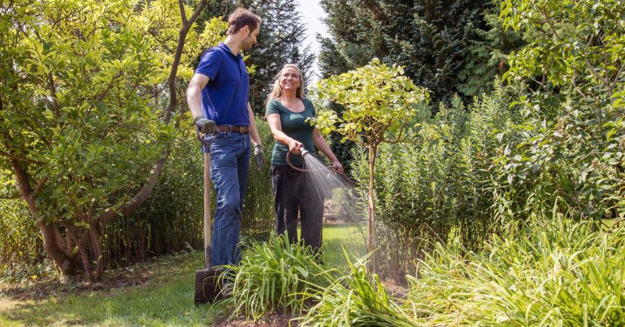 Rosen einpflanzen geht im Grunde das ganze Jahr über. Traditionell beginnt die Saison für Gärtner aber im September, wenn der Boden noch warm ist.