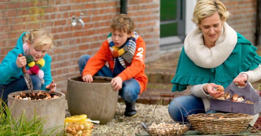 Es gibt einen Trick für das Gestalten von besonders prachtvoll wirkenden Töpfen und Schalen mit Zwiebelblumen: Die Zwiebeln kommen in mehreren Lagen in die Gefäße.