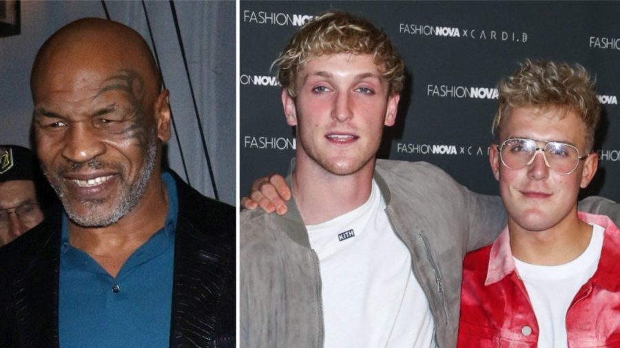 Iron Mike gegen einen der Paul-Brüder Logan und Jake? (stk/spot)
