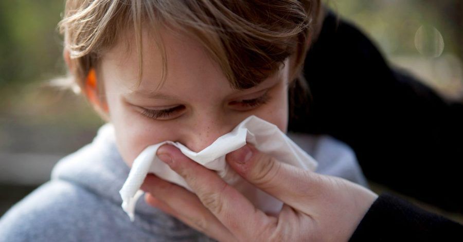 Gefühlt läuft das Näschen den ganzen Winter. Gerade im ersten Kitajahr machen Kinder viele Infekte durch.