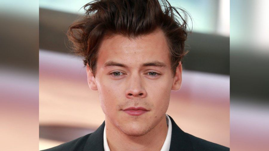 Harry Styles ist das Schauspielfach nicht fremd. (stk/spot)