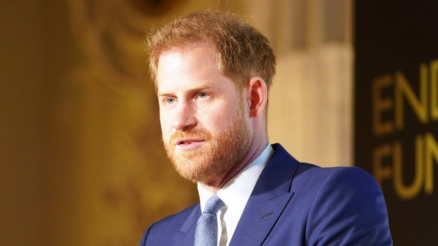 Prinz Harry, hier auf einem Event im vergangenen Jahr, zeigte sich "berührt" von den eingereichten Fotos. (wue/spot)